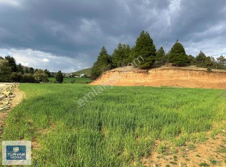 Burdur Bucak Yatırımlık 5505 M2 Satılık Müstakil Tarla