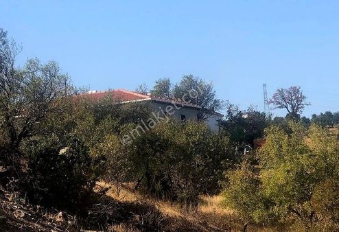 Uzay Emlaktan Ayvacık Çam Köyde Acil Satılık İmarlı Arsa