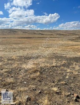 Granit Gayrimenkul Den Satılık Yola Cephe Tarla