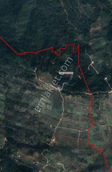 Osmangazı Gündogdu Satılık Zeytınlık 836 M (93)