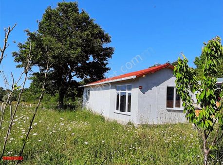 Acil İhtiyaçtan Ev Ve Bahçesi -^^- 655 Favoriye Özel