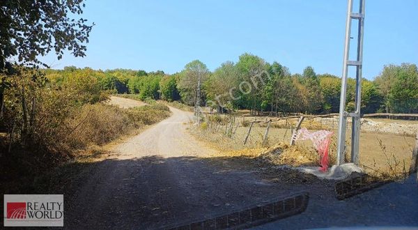 Kocaeli Kandıra Karaağaçta 2,417 M2 Tarla