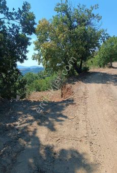 Osmangazi Kirazlı Yatırımlık Arazi 394 Metre (68)