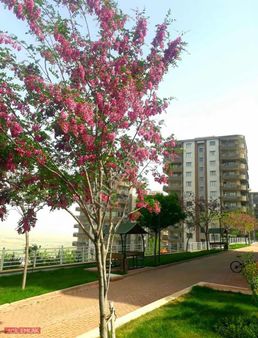 Acil Emlak'tan Güzelşehir'de Site İçerisinde 4+2 Lüx Daire