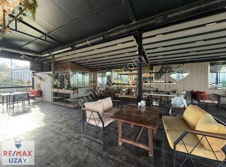 Doğa'nın Kalbinde Eşsiz Yaşam Ve Yatırım Fırsatı