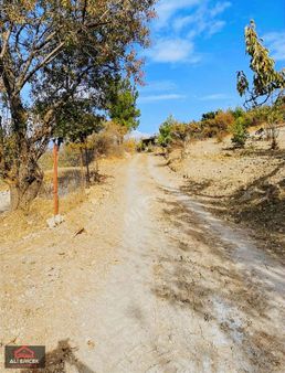 Damlacık Ericek Mevki Kupon Bahçe