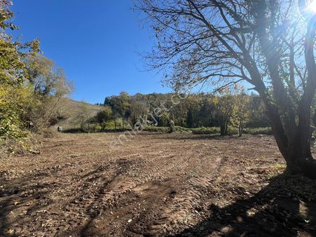 Kocaeli Karamürsel Çamdibi Uygun Fiyatlı 1365 M² Satılık Tarla