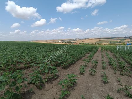 Tekirdağ Maramaraereğlisi 212,35 Çeşmeli Merkeze,yerleşime Cephe