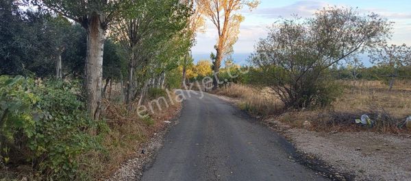 Bilge Emlak'tan Şarköy Tepeköy'de İmardibi
