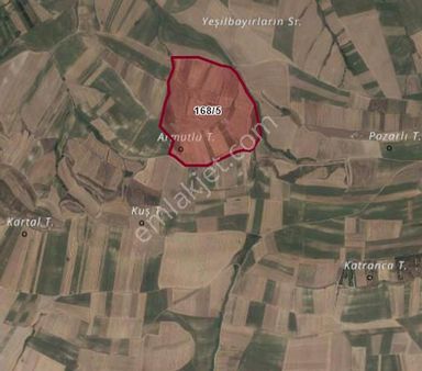 Tekirdağ Marmaraereğlisi 168,5 Uyguna Tarladan Satılık Hisse