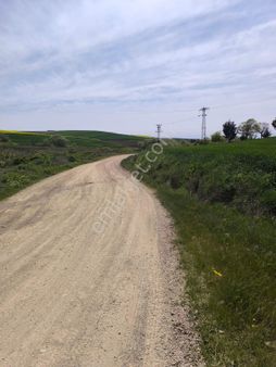 Tekirdağ Marmaraereğlisi Çeşmelide 257,1 Tarladan Satılık Hisse