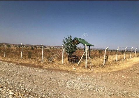 Şimşek Gayrimenkul Den Satılık Arazi