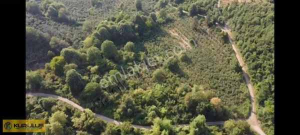 Dağdibinde Fındık Bahçesi Ve Hayvancılığa Uygun Arazi