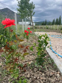 Burdurda Bungalov İstanbul Yolu Üzeri