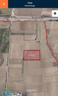 Gümüşhacıköy De Satılık Tarla Güblüce Köyü Asemlak Satıyor