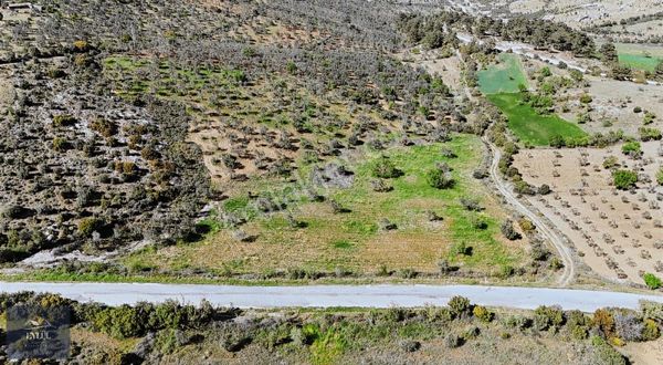 Ezine Karadağ Köyünde Asfalt Üzeri İmar Sınırında Satılık Tarla
