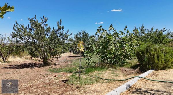 Ezine Kemallı Köyünde İçerisinde Ev Olan Satılık Bahçe