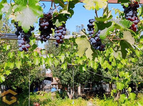 Çubuk Muhsin Yazıcıoğlu Mah.tek Tapu 476 M2 Satılık Arsa