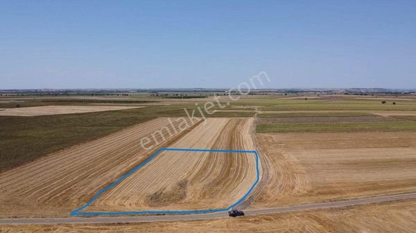 Lüleburgaz Alacaoğlu Satılık Tarla