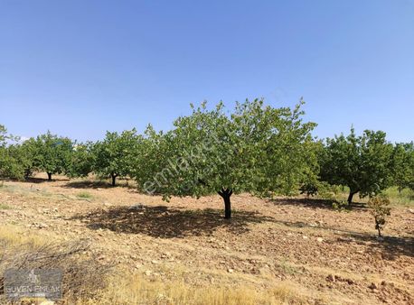 Güven Emlak'tan 2.org Altı Kuzey Çevreyoluna Sıfır Arazi