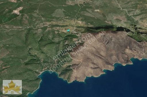 Çınar Emlaktan Bodrum Mazıda Denize Yakın Köyiçi Zeytinlik