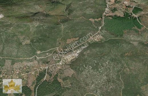 Çınar Emlaktan Bodrum Mazıda Ana Yola Sıfır 649 M2 Tarla