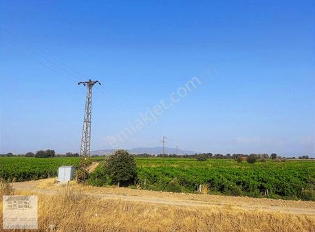 Karaağaçlıda Manisaya Yakın Bağ