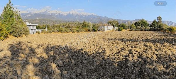 Seydikemer Kadıköy Merkezde 6500mt Arsa Ve 2katlı Eviyle Satılık