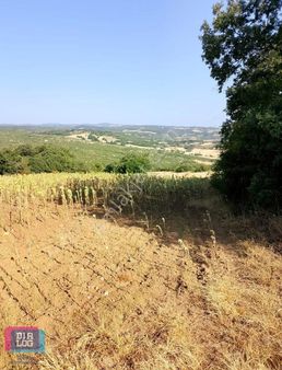 Dıalog İdealden İnegölde Yatırımlık Müstakil Tarla