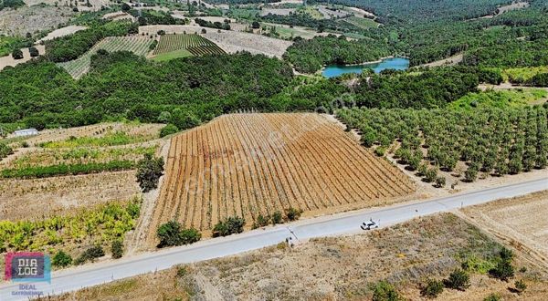 Dialog İdeal'den Kestel Aksu Köyünde Satılık Tarla