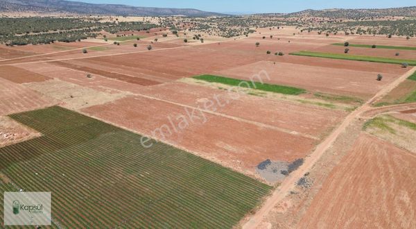 Akören Karahüyük De 8.809 M2 Müstakil Tapulu Tarla