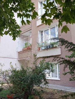 Merkezi Konumda 1 Bölgede 2+1