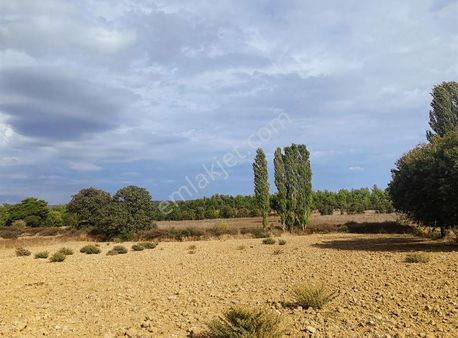 Dede Emlak' Tan Manisa Ortaköy De Satılık Arsa