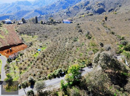 Mabel'den Ünye Merkeze 15 Dk Uzaklıkta Fırsa Tarla