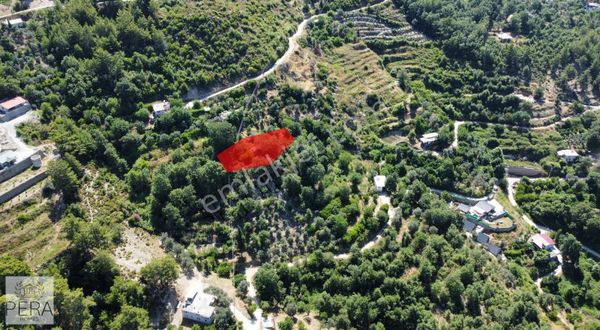 Alanya Dimçayı Üzümlü Satılık İki Katlı Taş Ev Ve Arsası