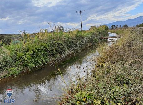 Remax Ümit Doğan Dan Geyve Kozan Da Satılık Ayva Bahçesi
