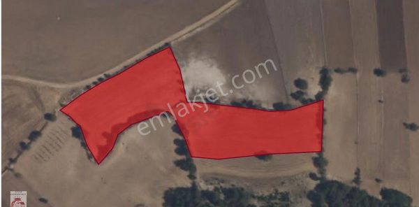 Ayşahtan Gayrimenkulden Pamukkale Kurtluca Mahallesinde Satılık Harika Konumda Tarla