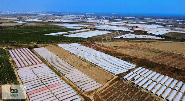 Kundu'da 9283 M2 Satılık Tarla