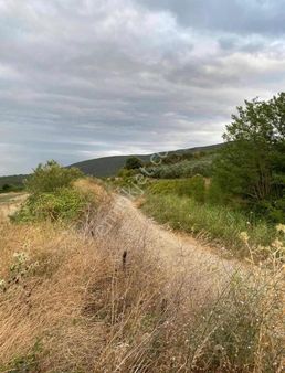 Mustafakemalpaşa Karaoğlanda Satılık Arazi