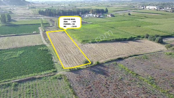 Bigadiç Çavuş Mah.imar Planı Sınırında Satılık 3310 M2 Arazi