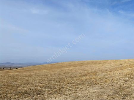 Satılık 84.000 M2 Arazi