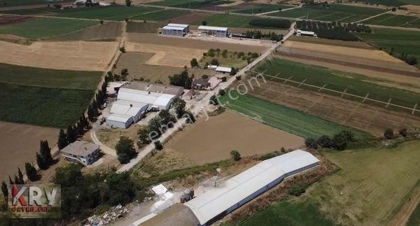 Subaşı Da Yol Su Elektrik Problemi Olmayan Tarla