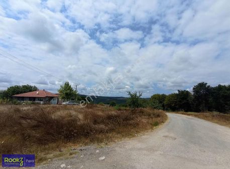 Ferizli Ağaçık'ta Yüksek Verimli Satılık Fındık Bahçesi