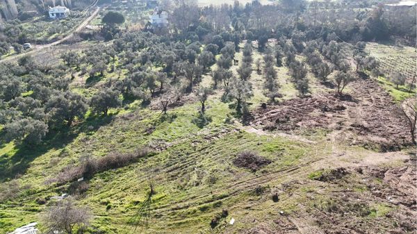 Kuşadası’da Yeniköy Mahallesi’de Satılık Tarla