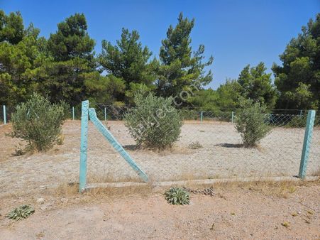 500m2 Tapulu Arsanız Sizin Yeni Yaşam Alanınız