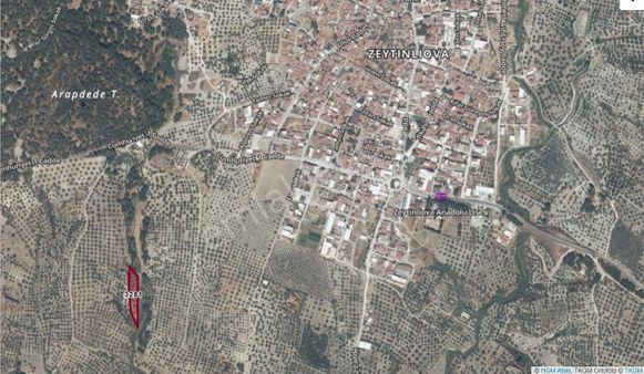 Arel'den Zeytinliova'da Satılık 2900 M2 Zeytinlik