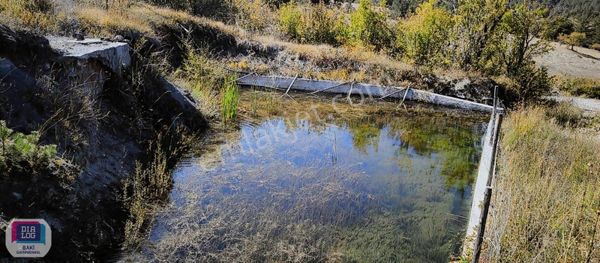 Keles Gököz'de Bursa Asfaltına Yakın Satılık 6834m2 Arazi