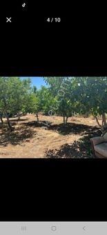 Arkadaş Emlaktan Çorum Barajı Manzaralı İçinde Cevizli Olan Satılık Bahçe 3.500 .000 Tl