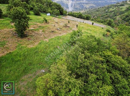 Aydın Emlak'tan Satılık Tarla 5.930 M2 Dokurcun