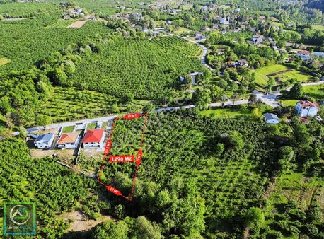 Aydın Emlak'tan Satılık 1.296 M2 İmarlı Arsa Bıçkıdere/akyazı